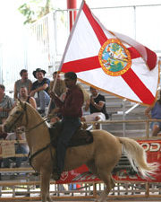 gay rodeo davie florida Lesbian medical fetish