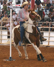 PoleBending06.jpg