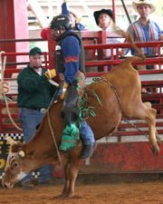 SteerRiding04.jpg