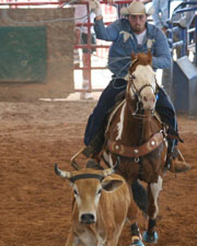 TeamRoping01.jpg